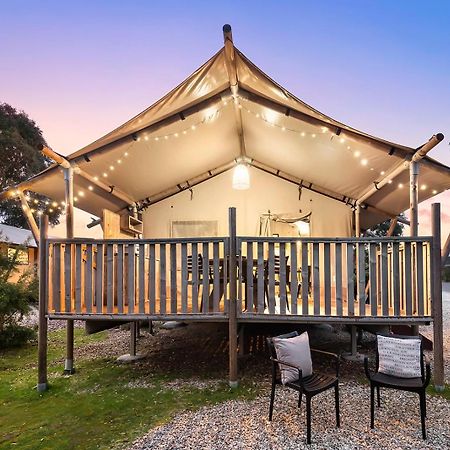 Scamander Sanctuary Holiday Park Luaran gambar