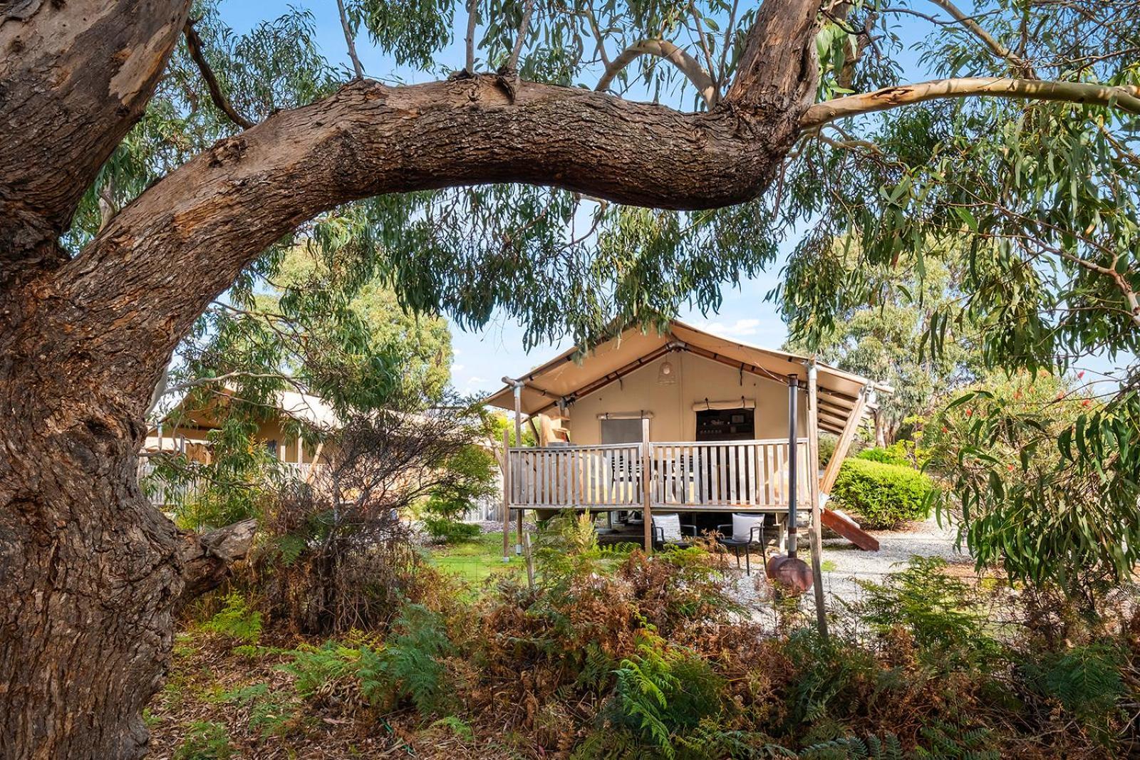 Scamander Sanctuary Holiday Park Luaran gambar